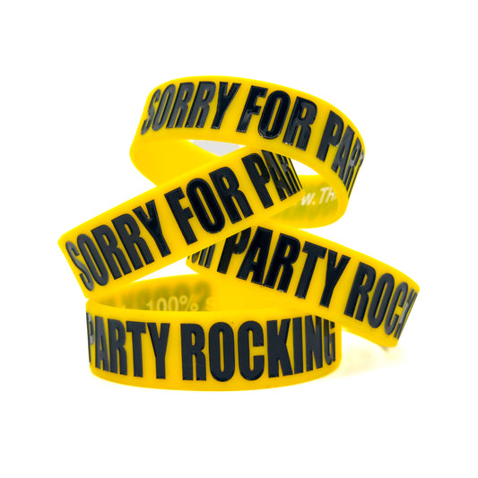 SORRY FOR PARTY ROCKING