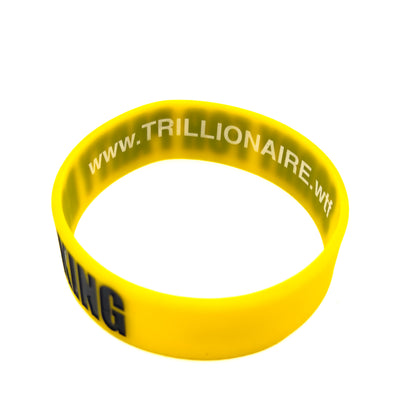 SORRY FOR PARTY ROCKING